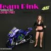 Team Pink Paddock Girl, American Diorama 77487 - 1/24 Scale Accessory For Diecast Cars